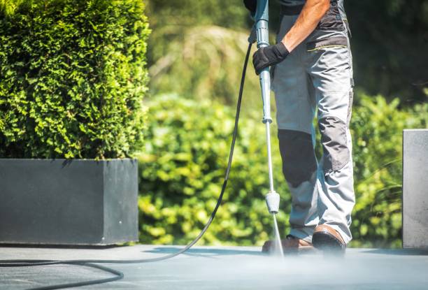 Best Gutter Cleaning  in Macdonnell Heights, NY